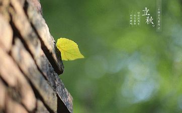 立秋贴秋膘吃什么 为什么秋气候候枯燥