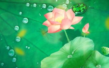 夏至有风意义是什么？夏至相关谚语