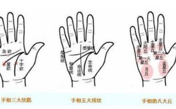 手指短的女性是旺夫命吗 旺夫手相有什么特征