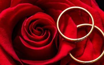 牛年本命年能够成婚吗 2021年成婚忌属相