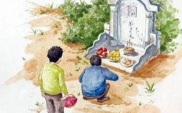 清明插柳的意义 由来 清明插柳的意义 由来