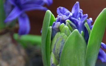 立春案牍8字 立春构思案牍