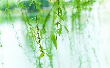 2022年清明节后气候开端热吗