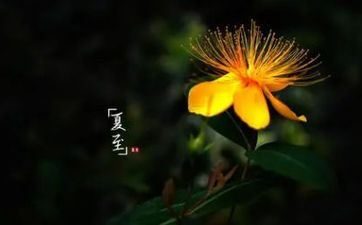 属蛇人在夏至出世命好吗?几月生的蛇命苦