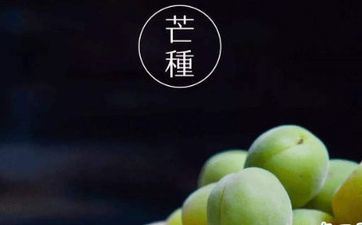 芒种节气的传统活动及饮食风俗 芒种节气的传统活动及饮食风俗