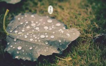 2022虎年寒露怀孕好不好？几月出世的命好