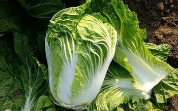 2022年处暑还热吗要热多久 处暑往后就不热了吗