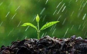 出世在雨天的人好不好 雨水出世的宝宝好不好