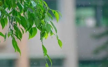 清明节上坟是在碑前烧纸仍是碑后烧纸