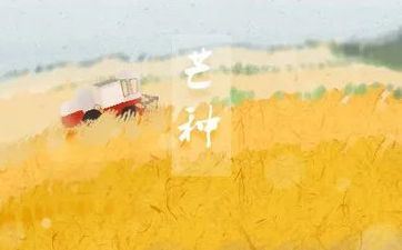 2022年芒种时刻 2022年芒种是几月几号