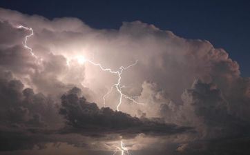 猫进家门是功德仍是坏事？