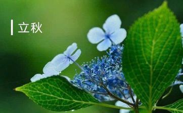 立秋节气的风俗及传统美食