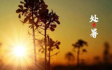 处暑节气的民间风俗及气候特色