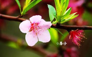 2022春分往后气候多久变暖