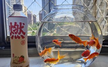 开店有什么考究风水 靠山一定要扎实