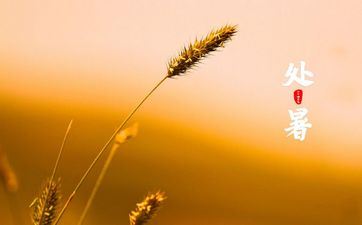 2022年立秋后天坑在哪个方位 立秋天的风俗大不同 2022年立秋后天坑在哪个方位 立秋天的风俗大不同