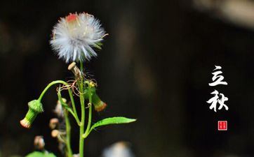 立秋节气的饮食习俗及摄生常识