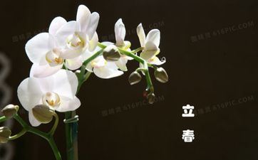 2022躲春睡觉可以吗 打春的头一天的忌讳有哪些