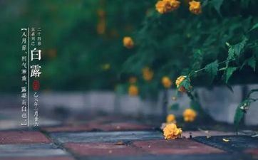 立秋三候：一候冷风至，二候白露生，三候寒蝉鸣 顺口好记有涵义