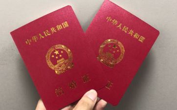 植物红掌花为啥不吉祥 影响身心健康 植物红掌花为啥不吉祥 影响身心健康