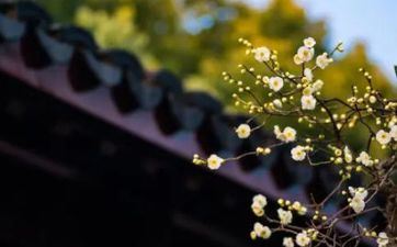 躲春有必要独处吗？上班的人怎样躲春？