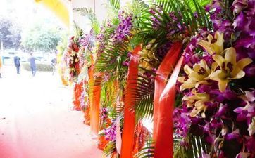 2022年阴历四月二十四日黄历日子合适剖腹产吗？