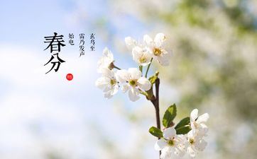2022年3月20日春分这天能成婚吗