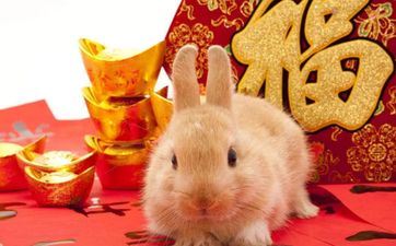 虎年属兔人忌讳什么东西  2022年属兔人的大忌