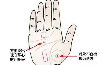 偏财手掌线 什么样的手相是发财命