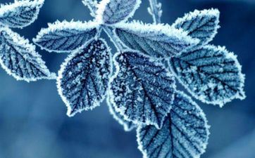 霜降有什么风俗考究 霜降文明来源解说