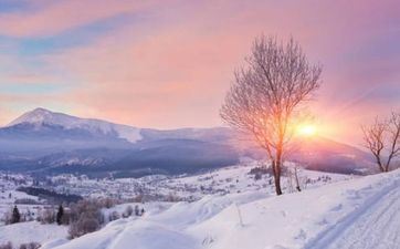 立冬的习俗吃什么美食 立冬的区分依据是什么