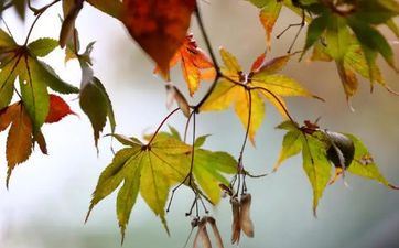 2022年二月二龙昂首理发店人多吗会不会限流