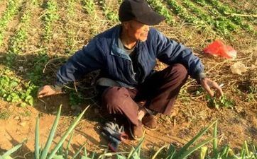 2023春分标志着什么