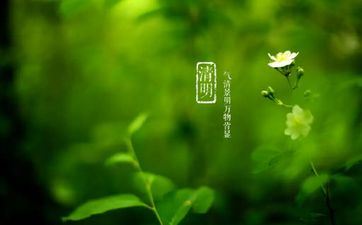 2022清明节去木兰草原露营晚上冷吗