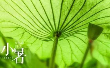小暑节气的传统习俗及涵义