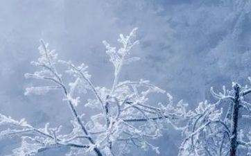 2023大寒上坟是前三天后三天吗