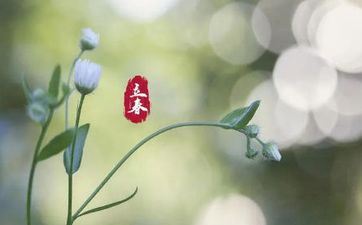 2024立春迎春能够在娘家吗 立春习俗忌讳