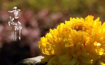 外国人的重阳节是怎样的？重阳节的8个别称你知道几个？