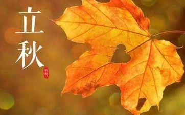 立秋艾灸的优点与成效 立秋的摄生小好办法