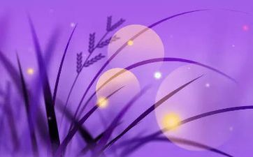 大暑三秋近,林中九夏移 大暑这天吃家常菜