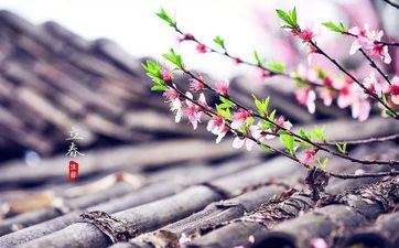 2023立春今后气温开端回暖吗