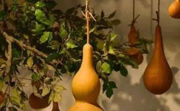 什么样的现象预示着你家的风水很好呢? 什么样的现象预示着你家的风水很好呢?