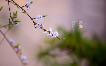 2023立春往后正常温度多少度