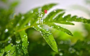 二十四节气谷雨的由来 谷雨节气意义