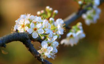 2024年火把节在哪里举行