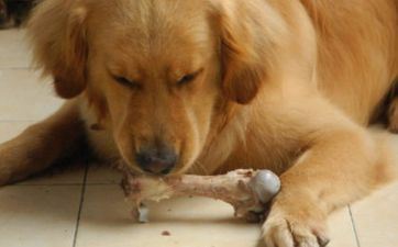 2023年7月21日属相狗五行穿衣攻略