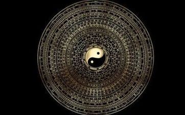 中考风水放什么花好 家中花的摆放风水考究