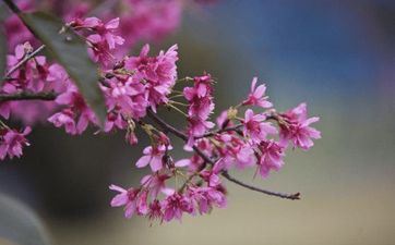 躲春是立春时刻的前后十五分钟吗 躲春是在立春前后一小时吗