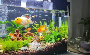 你知道什么是风水柱吗?它都有些什么效果?