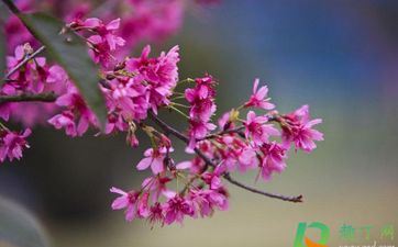 2023年立春出门好欠好 立春出门是指出远门吗